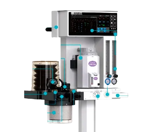 lifewindow 9x monitor veterinário